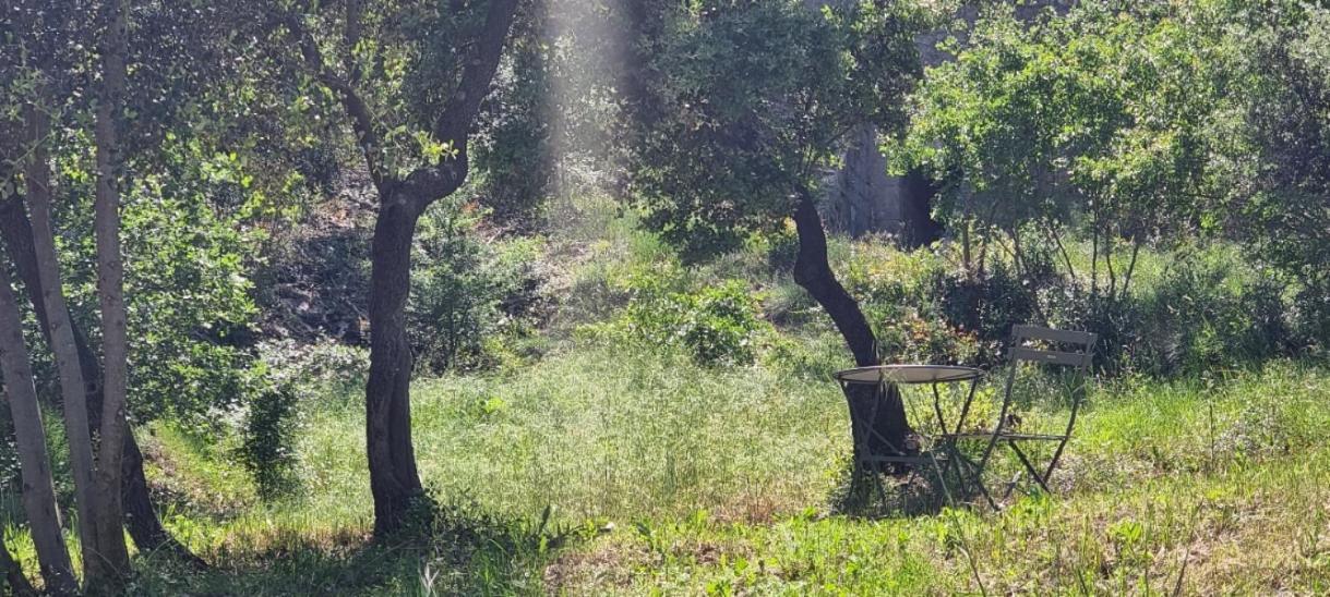 Les Bois De Zola Entre Provence Et Luberon Saint-Esteve-Janson Quarto foto