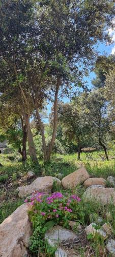 Les Bois De Zola Entre Provence Et Luberon Saint-Esteve-Janson Exterior foto