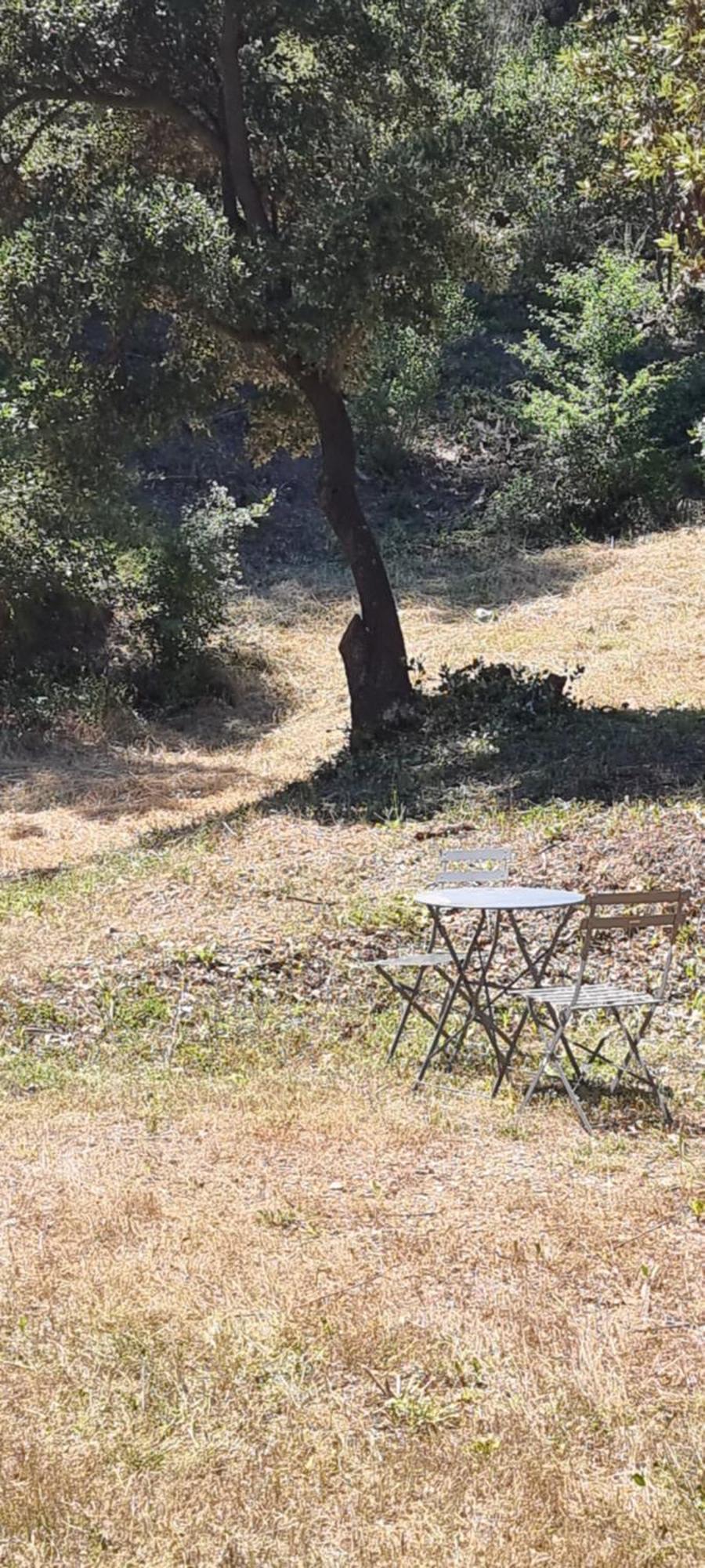 Les Bois De Zola Entre Provence Et Luberon Saint-Esteve-Janson Exterior foto