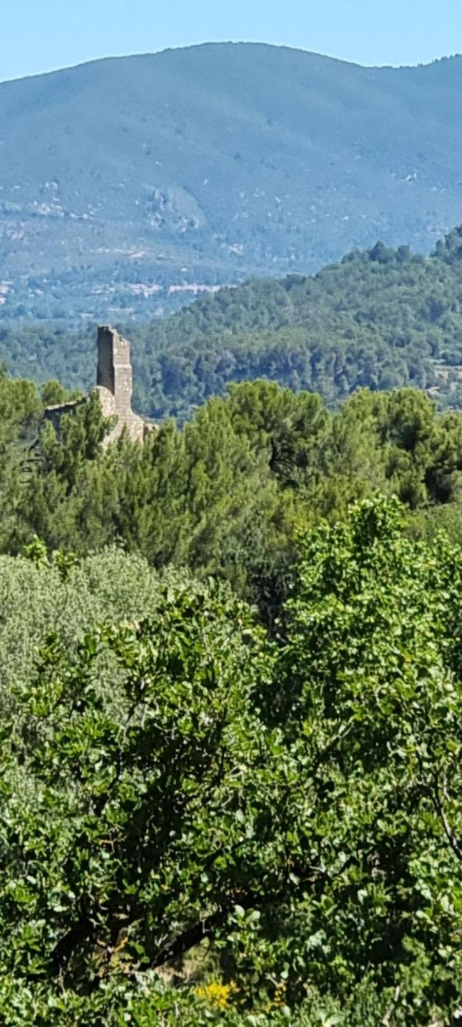 Les Bois De Zola Entre Provence Et Luberon Saint-Esteve-Janson Exterior foto